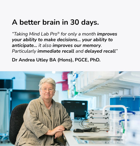 Mind Lab Pro v4