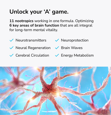 Mind Lab Pro v4