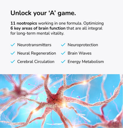 Mind Lab Pro v4